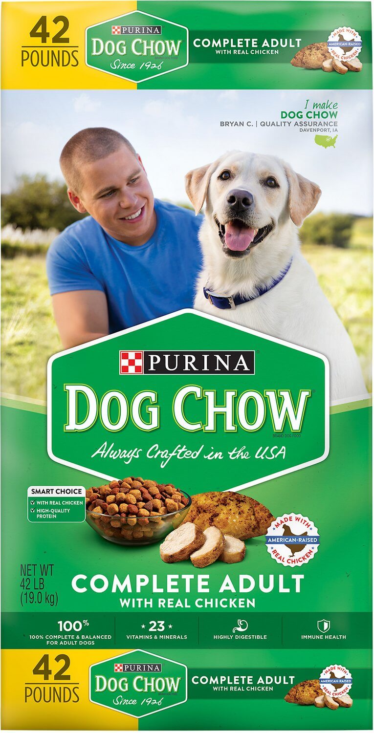 dog allergic to purina dog chow