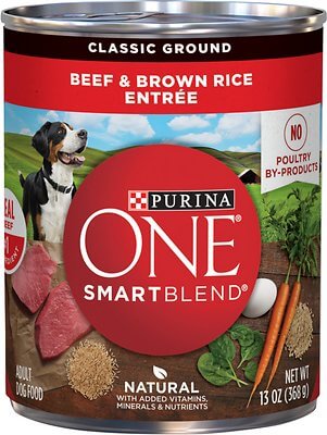 purina en dog food