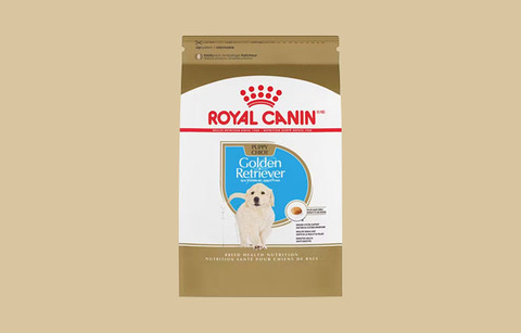 Royal Canin Breed Health Nutrition Puppy Dog Food Review (Dry)