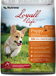 nutrena loyall puppy food