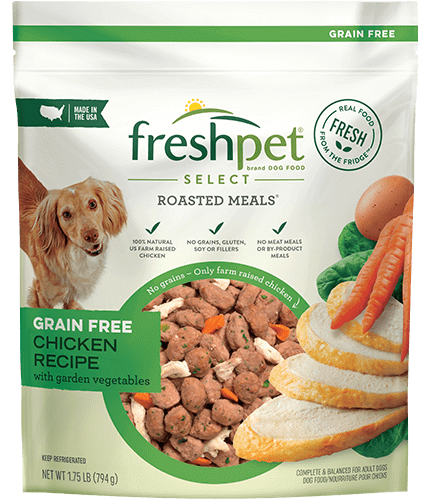 What Is Fresh Pet Food and Is It Actually Better?