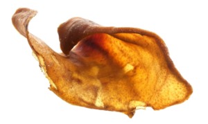 FDA Alert Do Not Buy or Feed any Pig Ear Pet Treats Dog Food Advisor