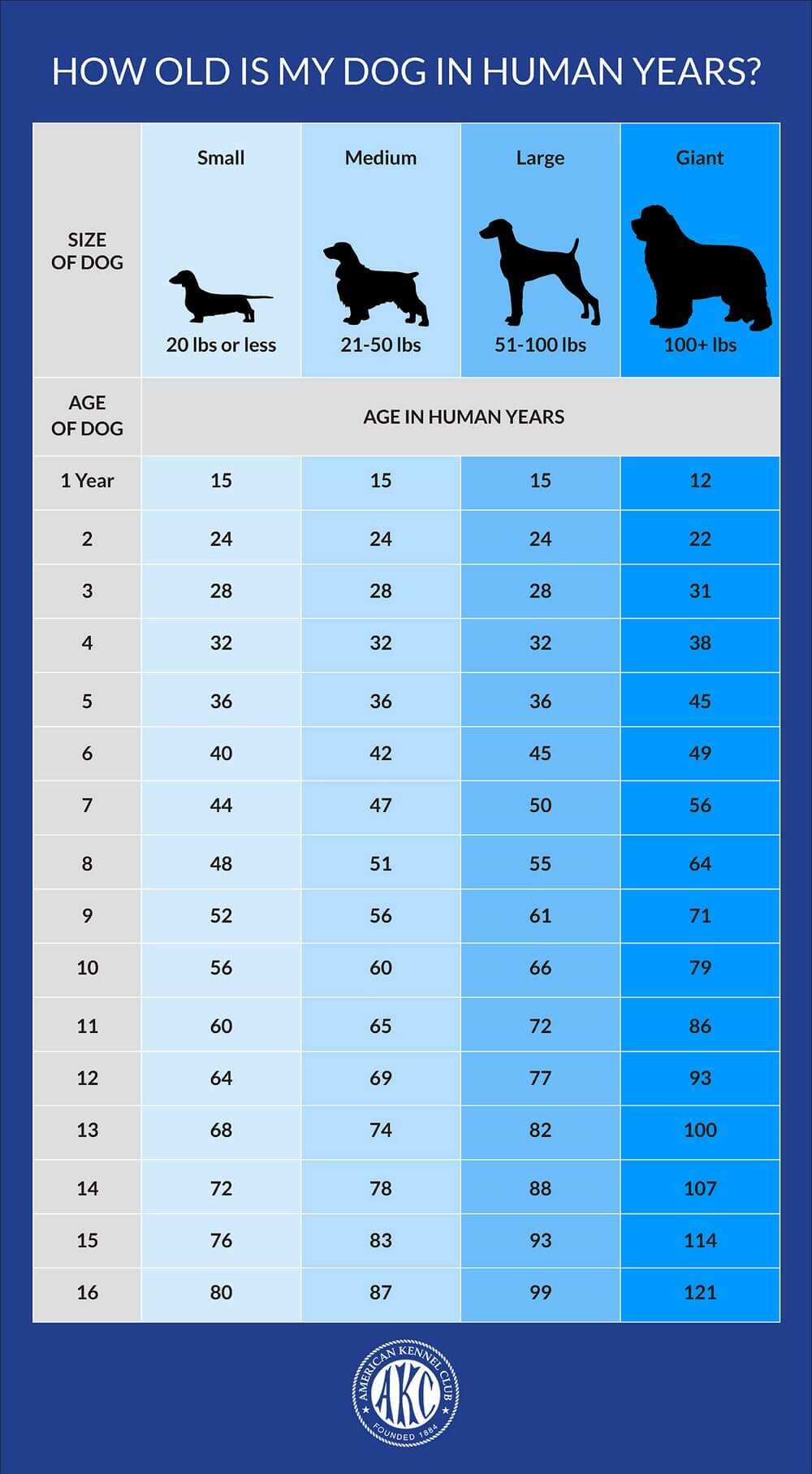 Dog Feeding Chart By Age And Weight Chart Walls