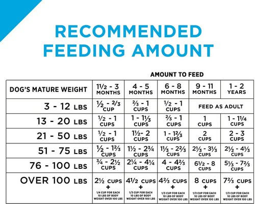 recommended puppy food
