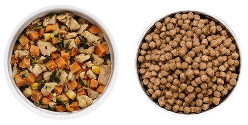 Greatly Admired Pet Food Extrusion Process + Dog Food Processing