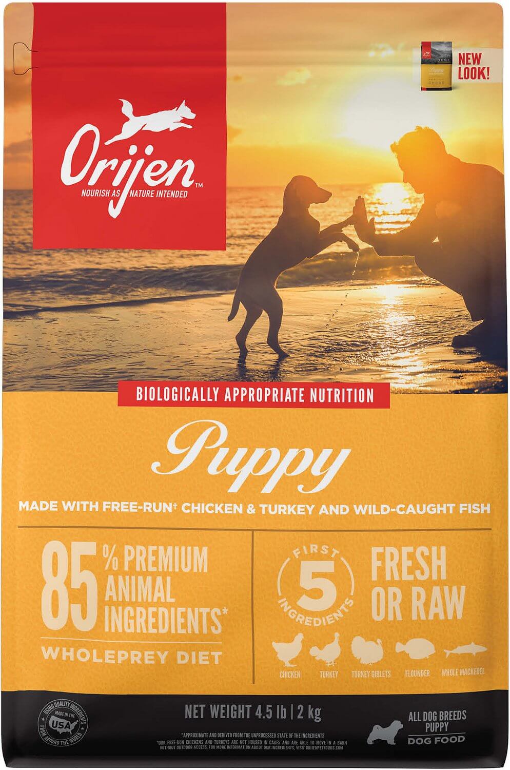 Best Dry Puppy Food 2024 Correy Olivie