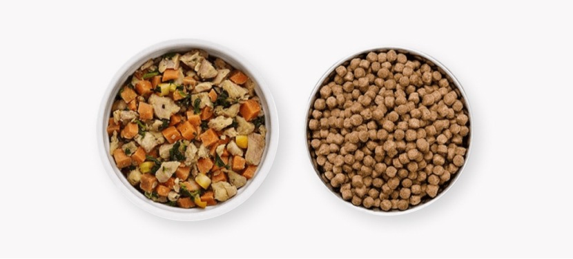 Best Fresh Dog Food 2024 | Dog Food Advisor