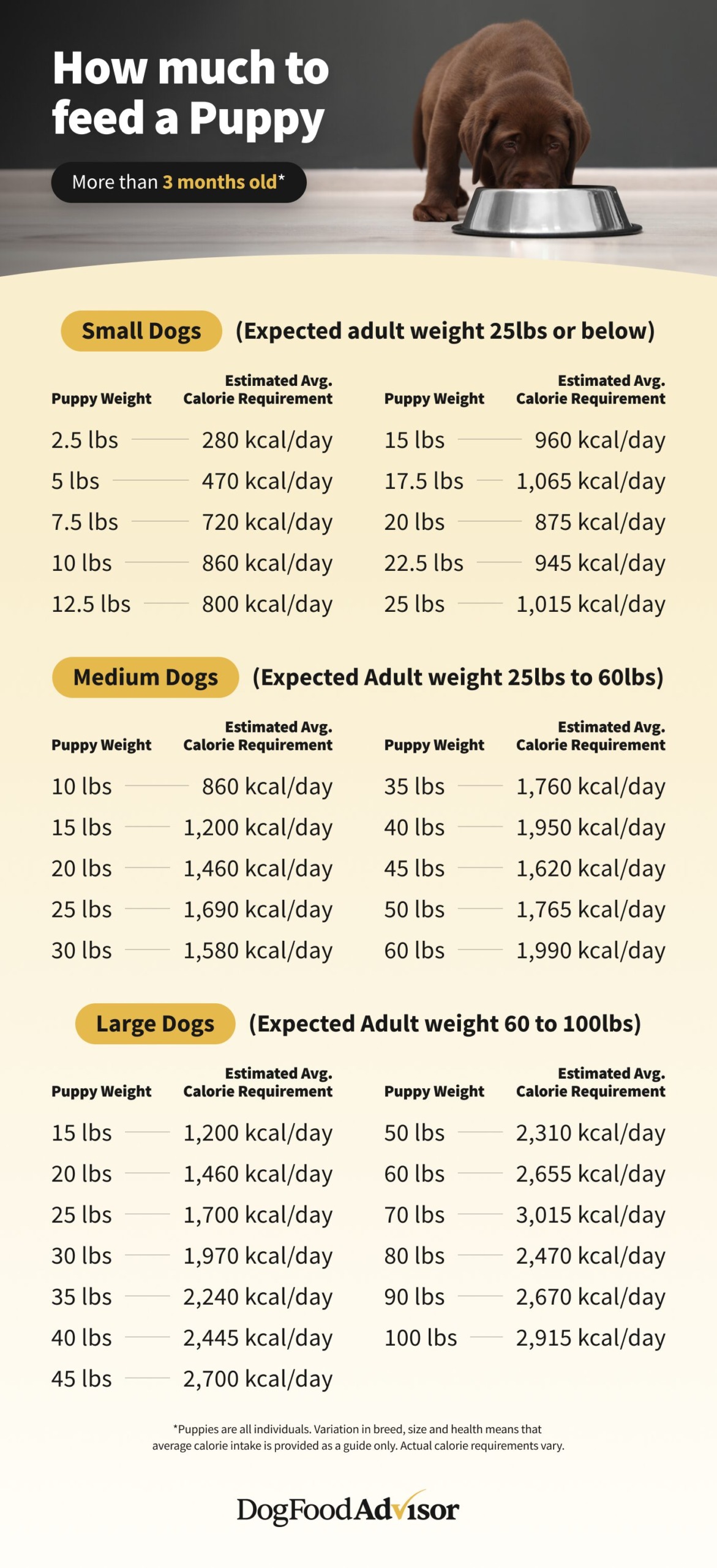 How much to feed a puppy chart hotsell